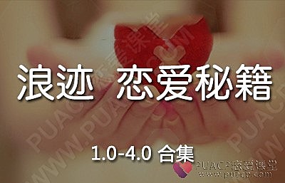 浪迹课程1.0-4.0合集