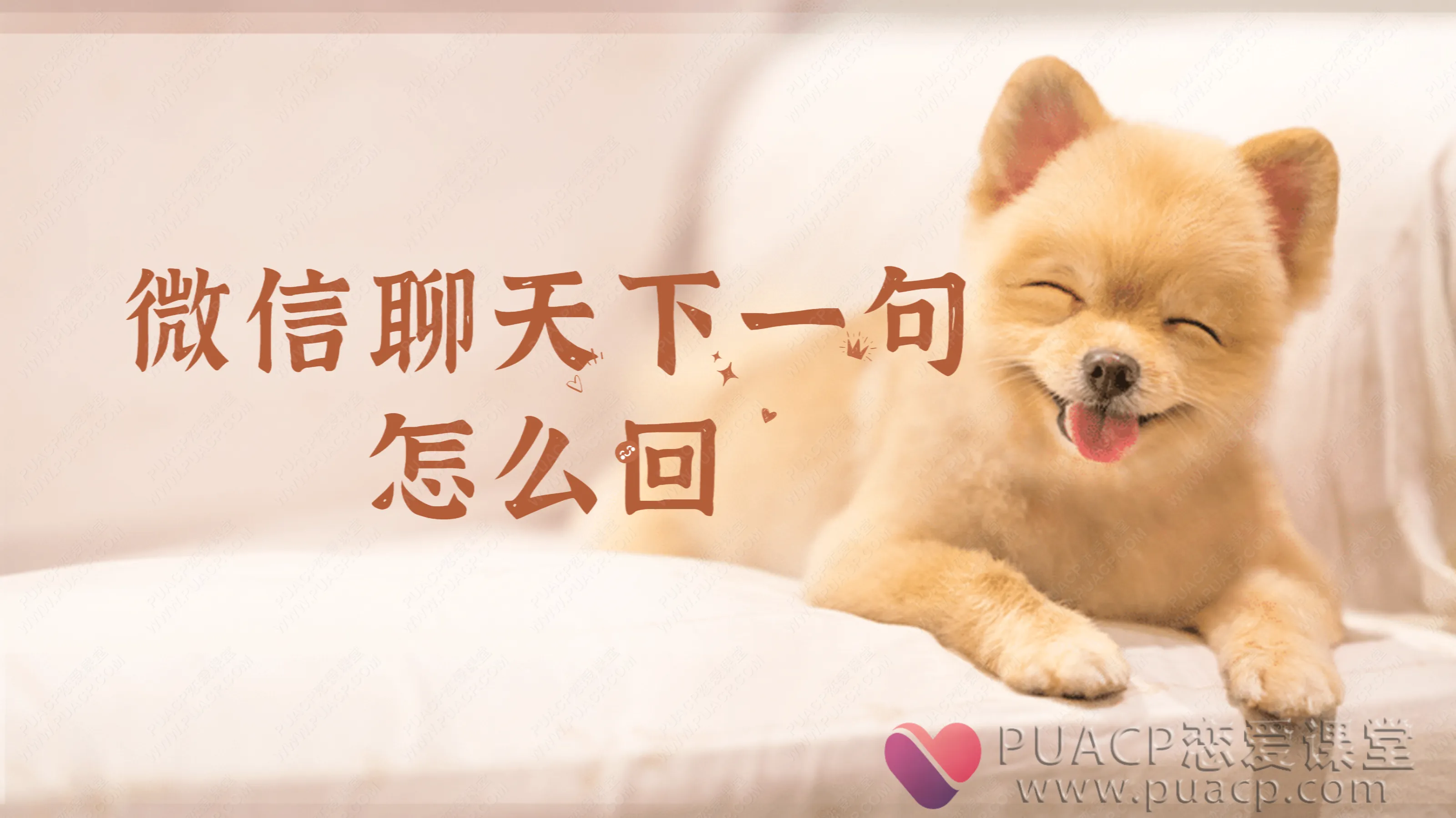 倪-《微信聊天下一句怎么回》