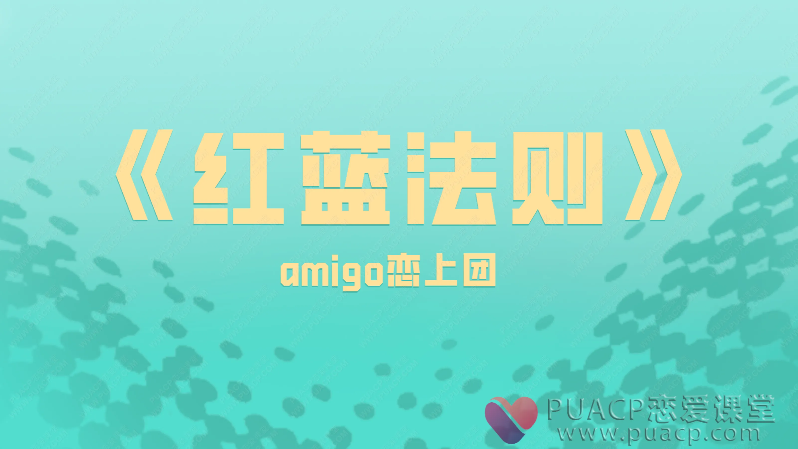 amigo恋上团队《红蓝法则》