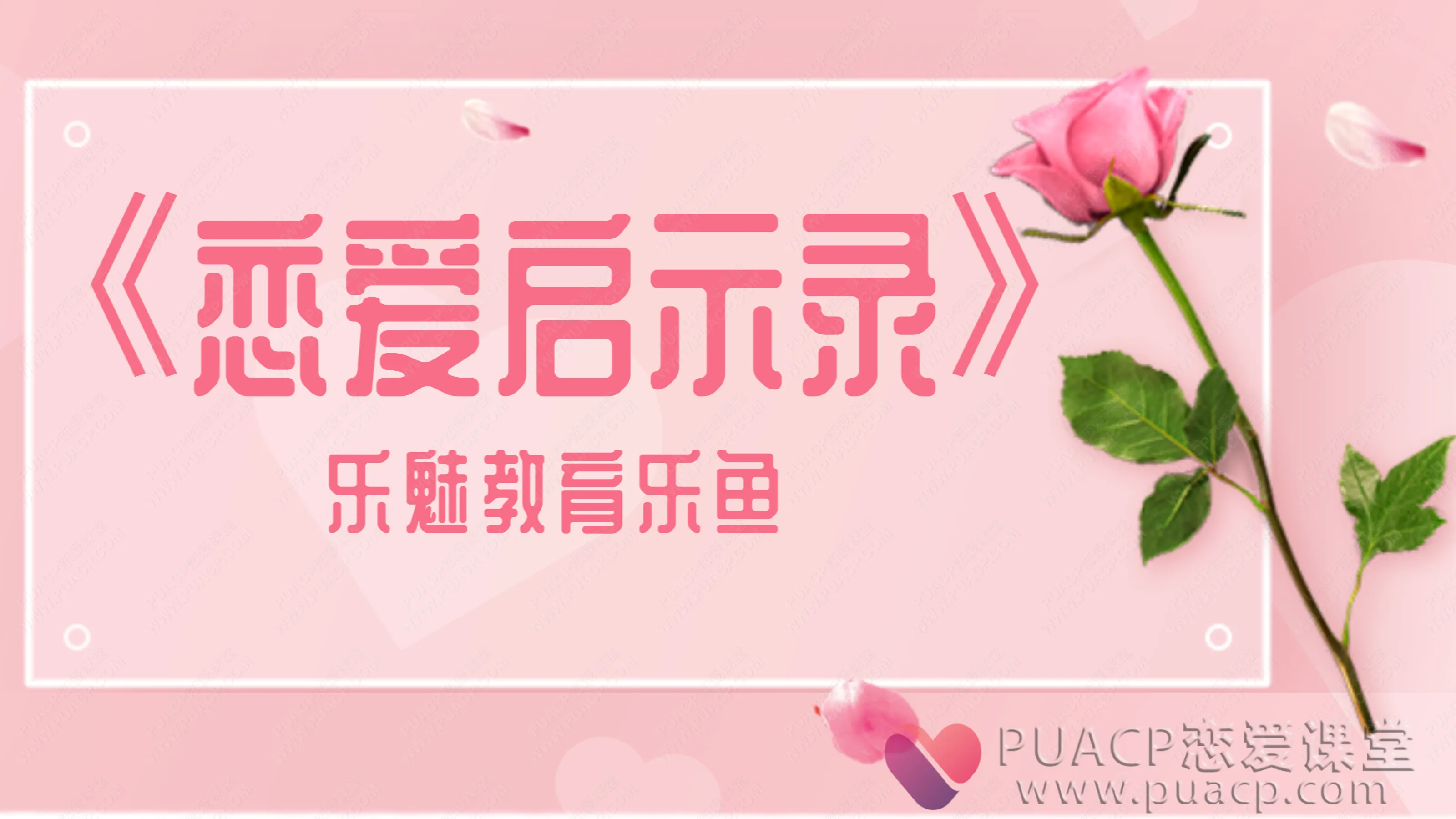 乐魅教育乐鱼-《恋爱启示录》