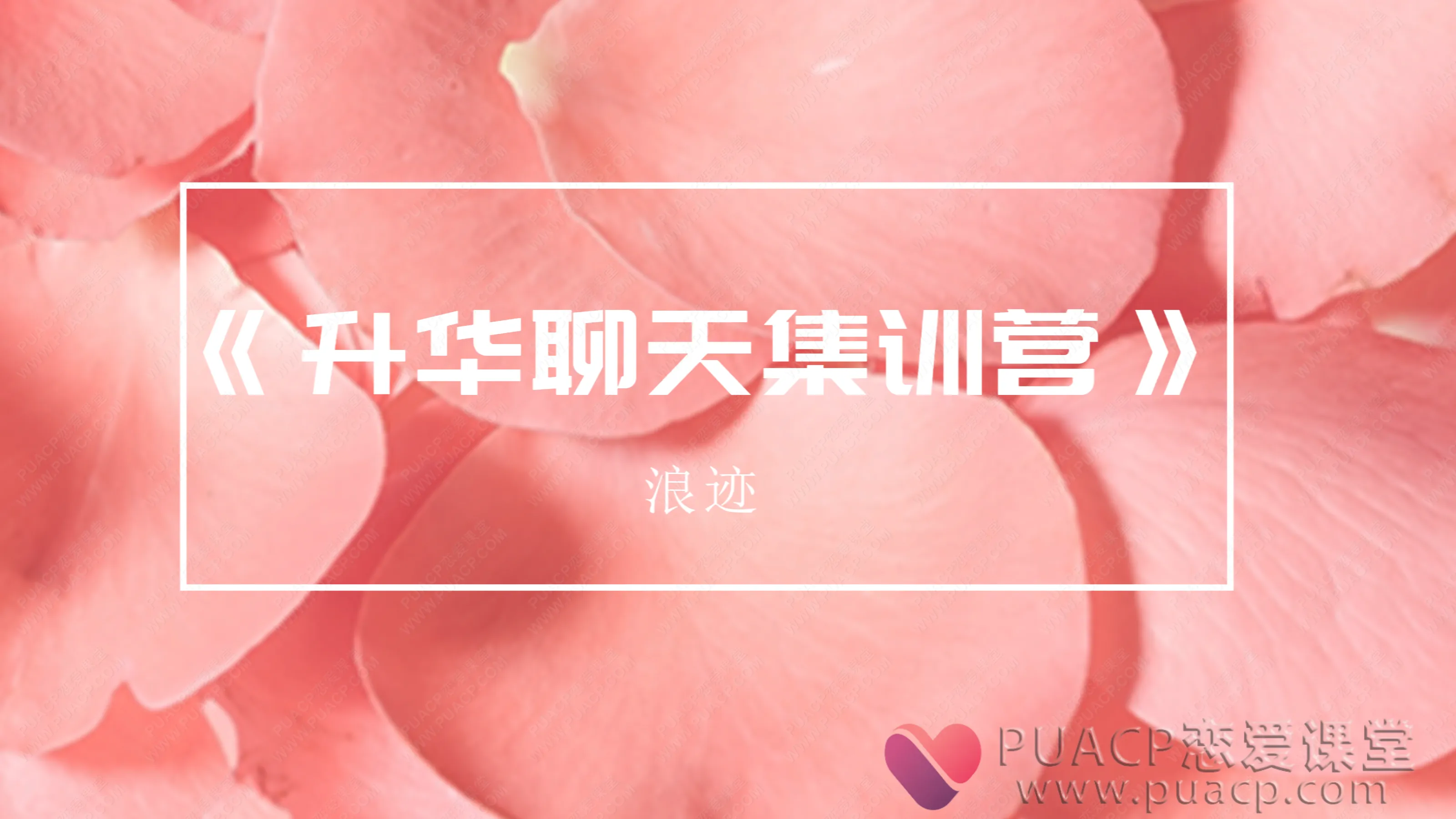 浪迹-《升华聊天集训营》