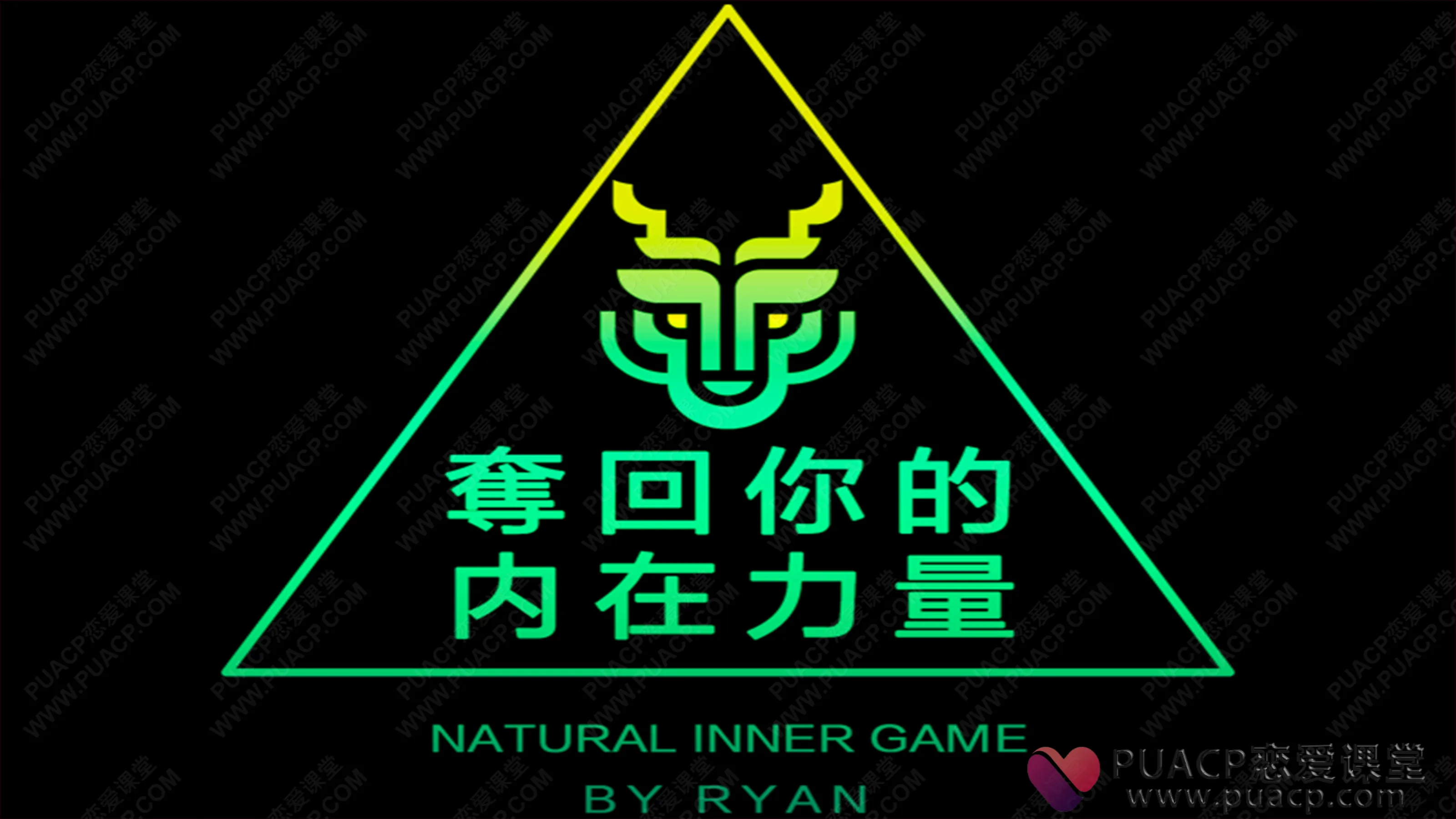 瑞恩“夺回你的内在力量”(完结)价值1680元