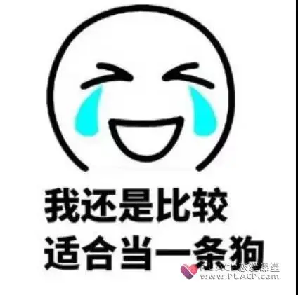 在这个看脸的时代,三点助你变男神第1张