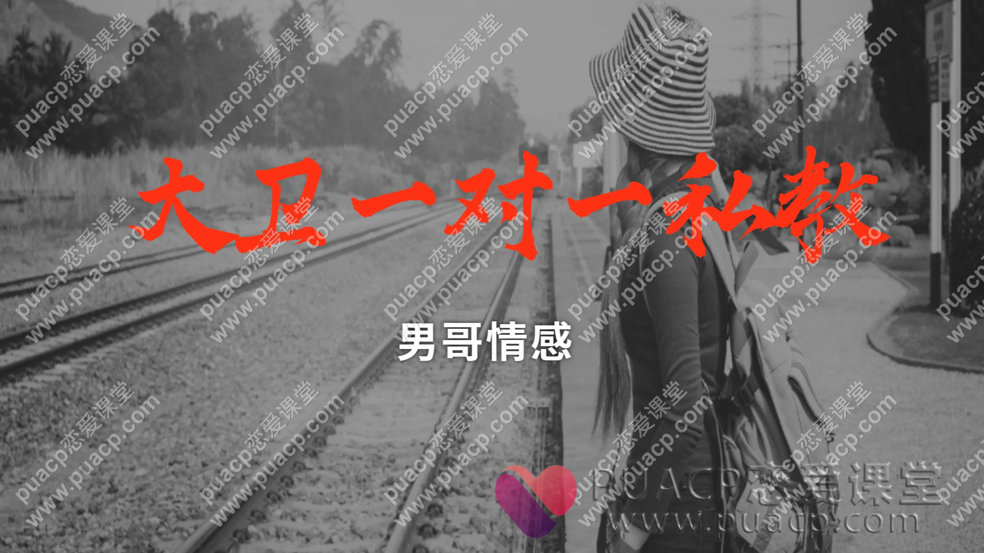 男哥情感 “大卫一对一私教”