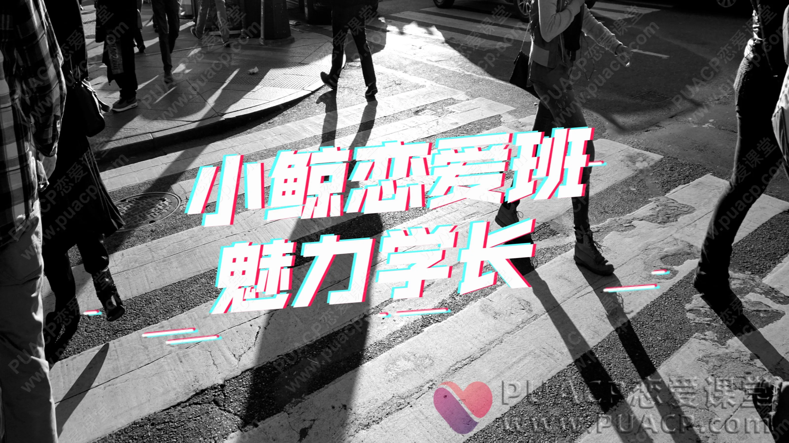 小鲸恋爱班“魅力学长”网盘下载