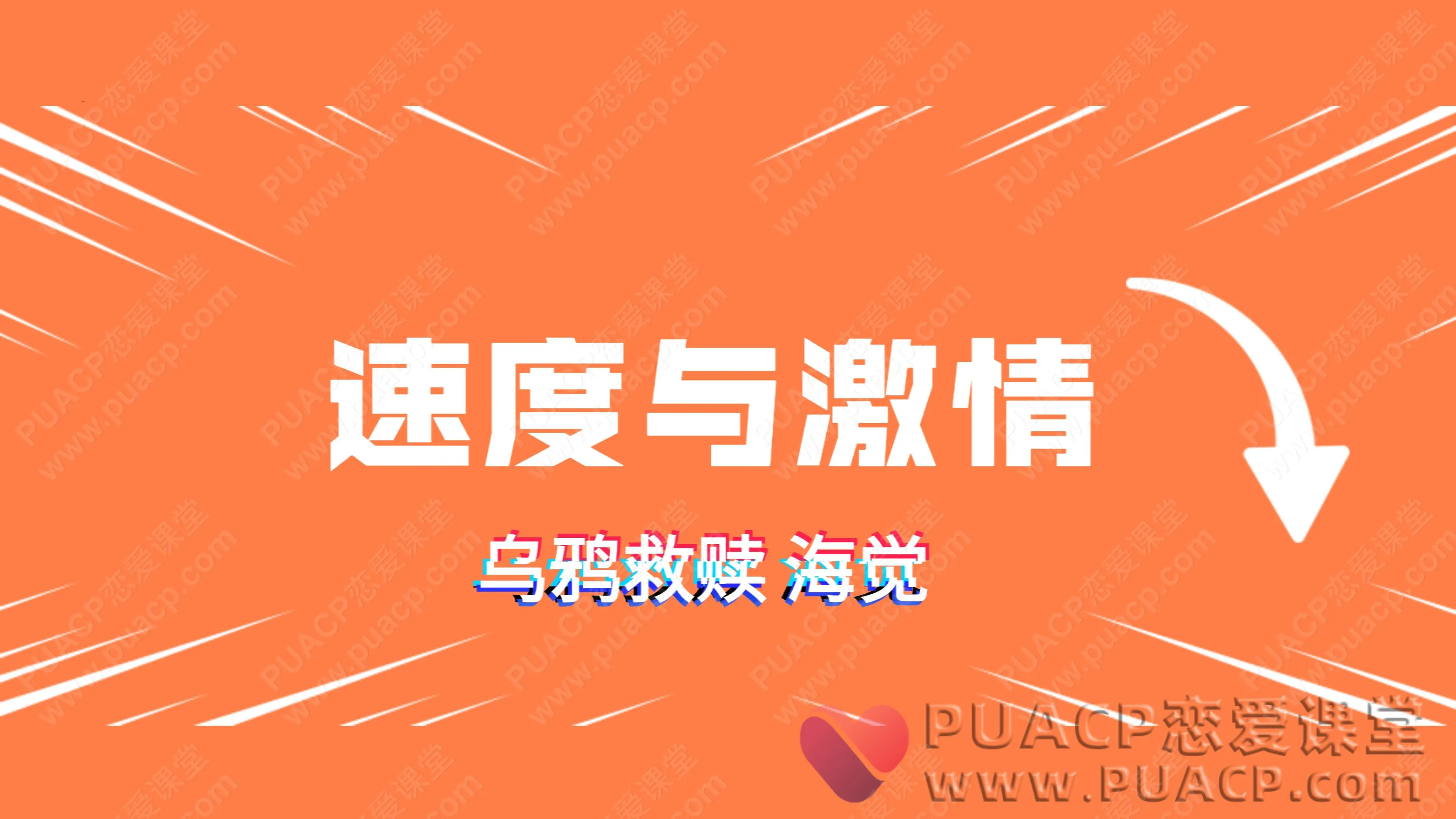 乌鸦救赎海觉“速度与激情”