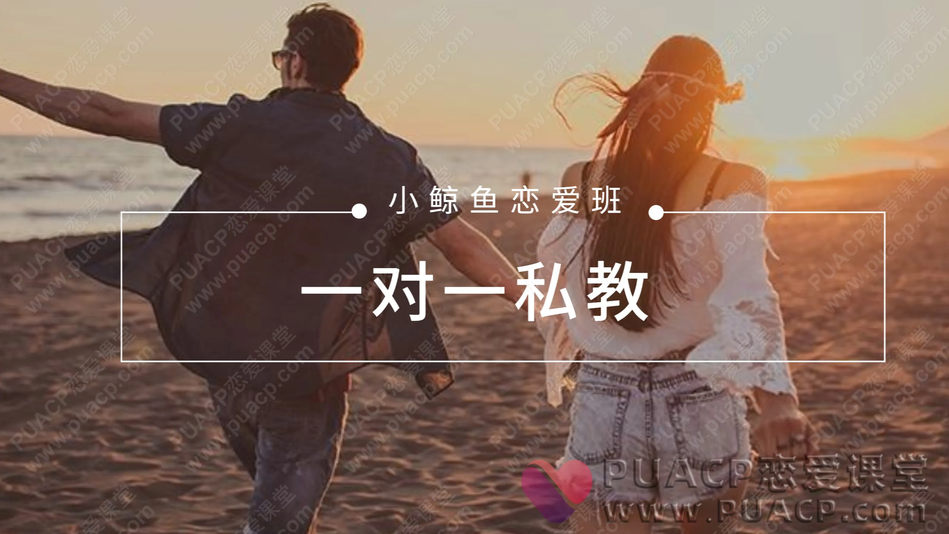 小鲸鱼恋爱班“一对一私教”百度云下载