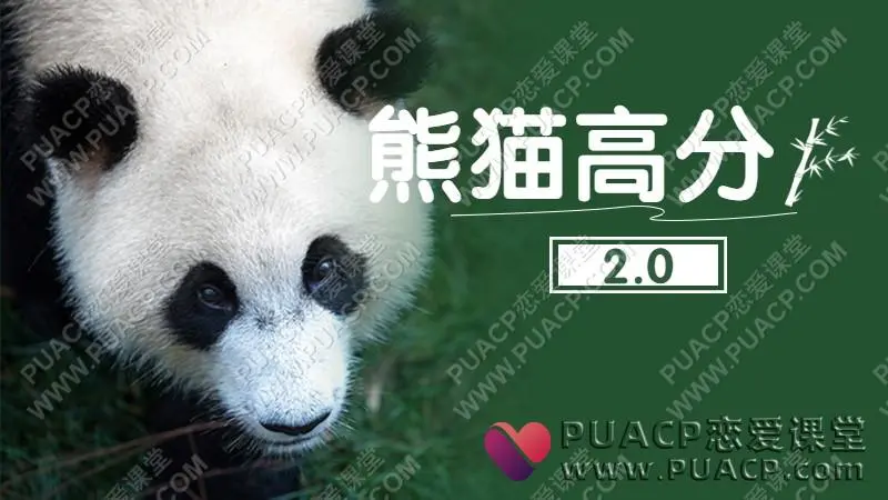 绅士派《熊猫高分2.0》高分心得网盘下载