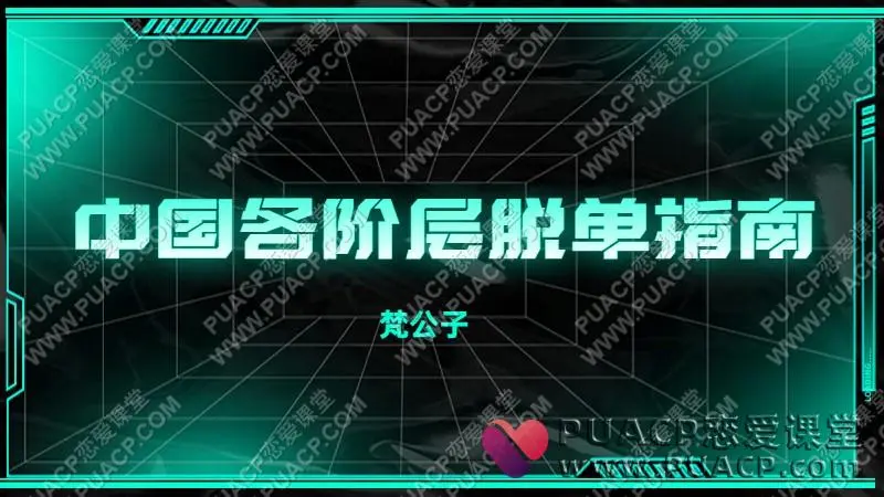 梵公子《中国各阶层脱单指南》