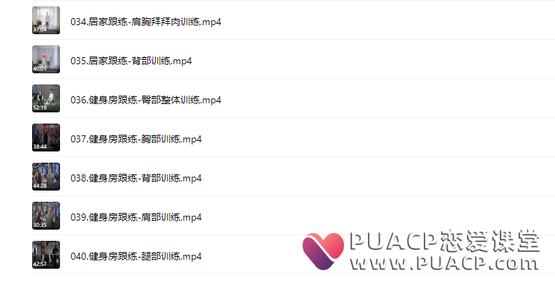 磊哥《减脂塑形课程2.0》