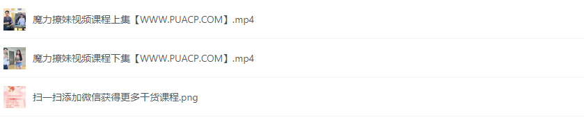 快速爱情感《魔力撩妹》创始人雨泽视频课程