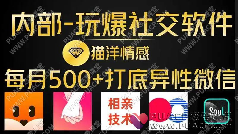 猫洋情感《私教课程》