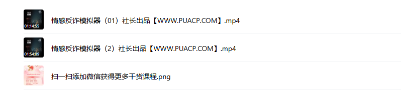 社长《情感反诈模拟器》深度讲解体验