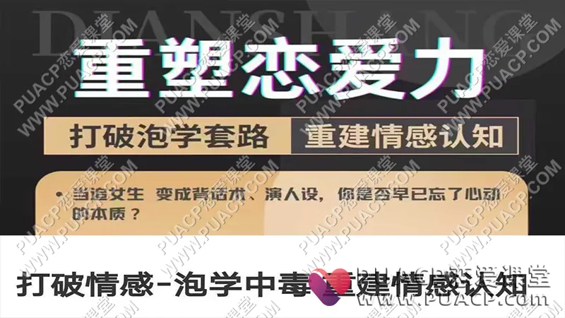一只流氓兔《重塑恋爱力》打破情感|泡学中毒|重建情感认知