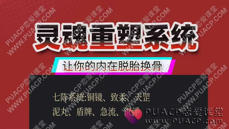本渡情感《灵魂重塑系统》