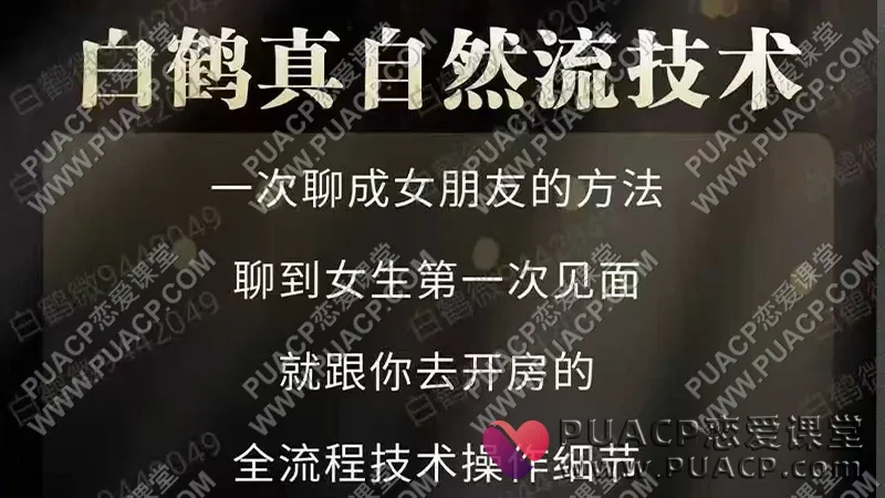 白鹤《真自然流聊天技术》一次聊成女朋友的方法（必学）