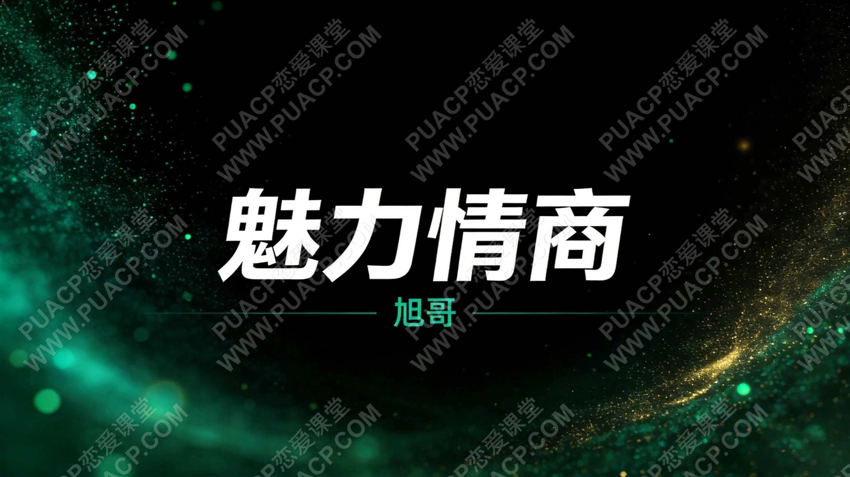 旭哥《魅力情商课》